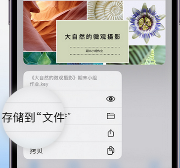 吉木萨尔apple维修中心分享iPhone文件应用中存储和找到下载文件