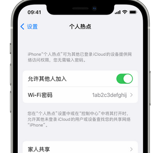 吉木萨尔apple服务站点分享iPhone上个人热点丢失了怎么办