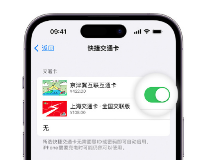 吉木萨尔apple维修点分享iPhone上更换Apple Pay快捷交通卡手绘卡面 