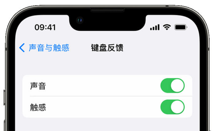 吉木萨尔苹果手机维修分享iPhone 14触感键盘使用方法 