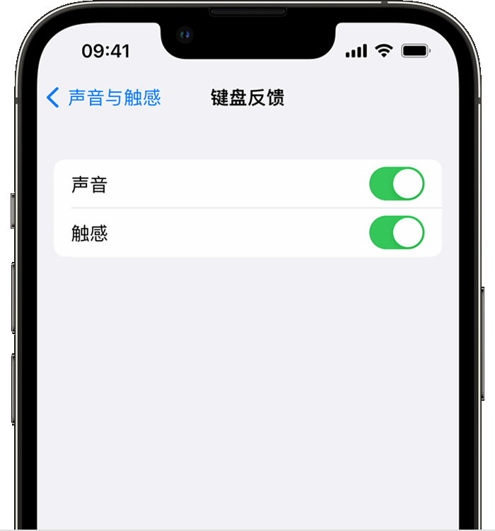 吉木萨尔苹果14维修店分享如何在 iPhone 14 机型中使用触感键盘 