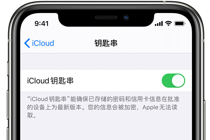 吉木萨尔苹果手机维修分享在 iPhone 上开启 iCloud 钥匙串之后会储存哪些信息 